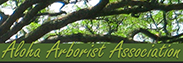 Aloha Arborist Association